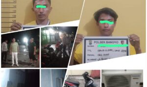 IMG-20240526-WA0133