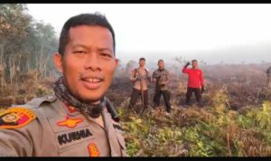 IMG-20240725-WA0112