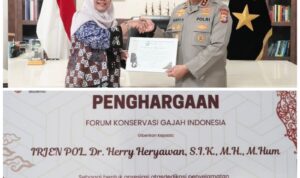 IMG-20260414-WA0006