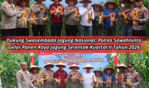 IMG-20260517-WA0003