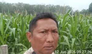 IMG-20260612-WA0006