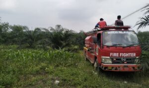 IMG-20260613-WA0005