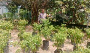 IMG-20260619-WA0045