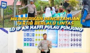 IMG-20260731-WA0017